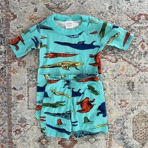 Hanna Andersson pajamas